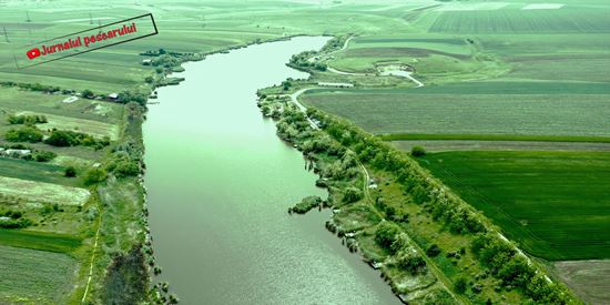 Balta LAZAR Alexandria , Teleorman